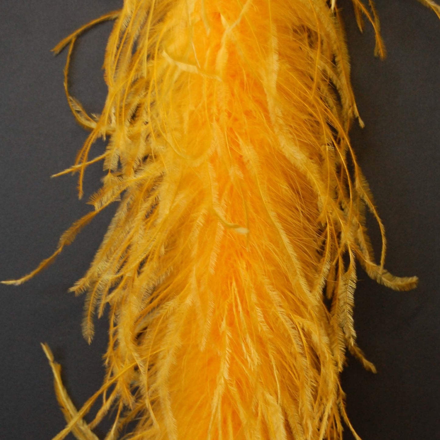 Ostrich Boa 2 Ply (lightweight)