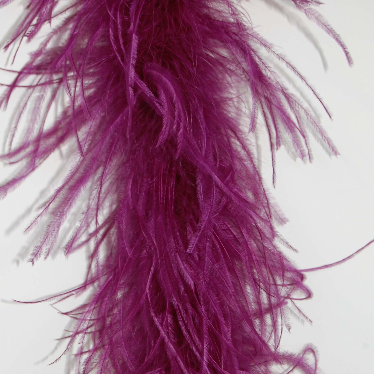 Ostrich Boa 2 Ply (lightweight)