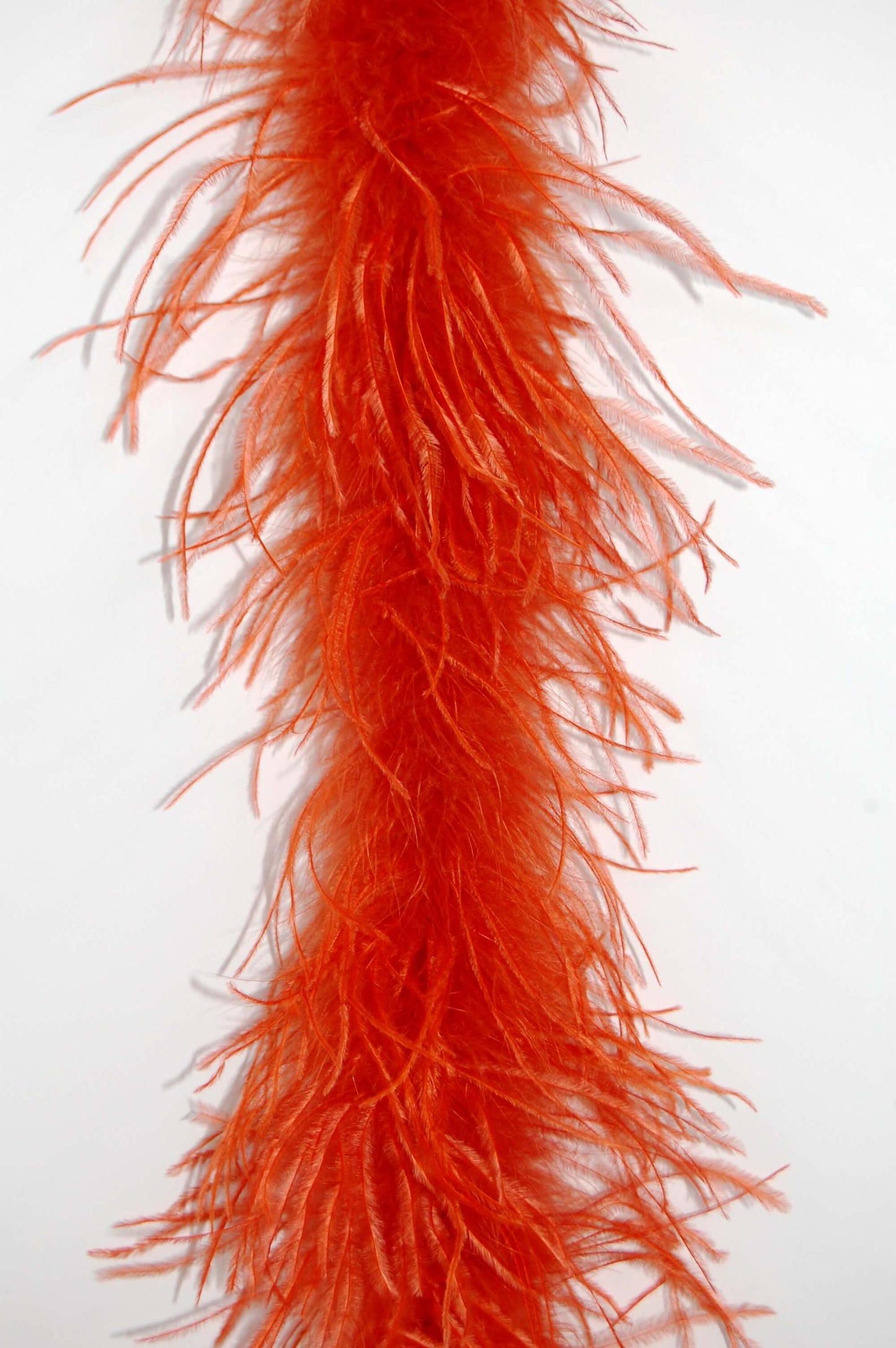Ostrich Boa 2 Ply (lightweight)
