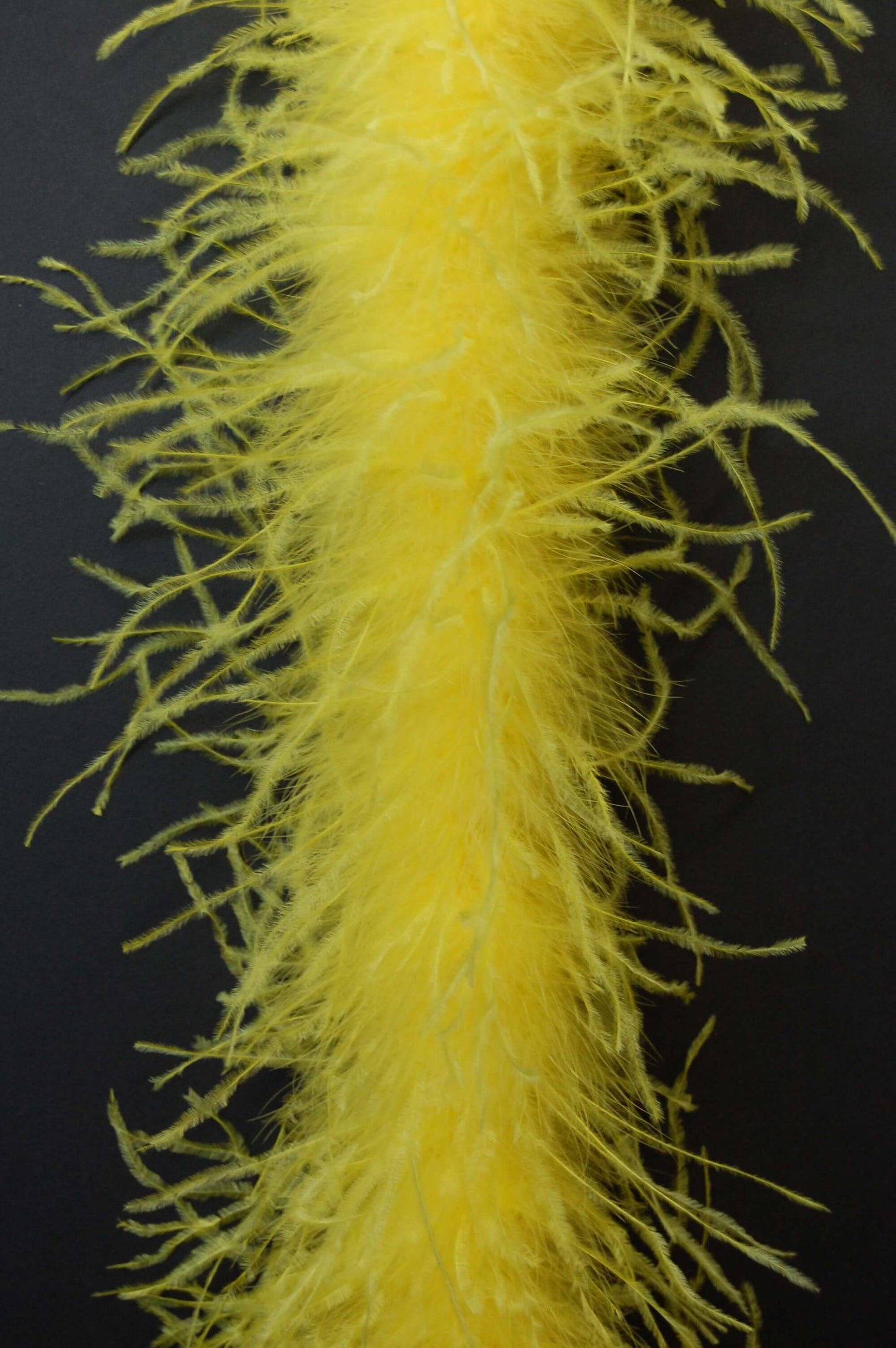 Ostrich Boa 2 Ply (lightweight)