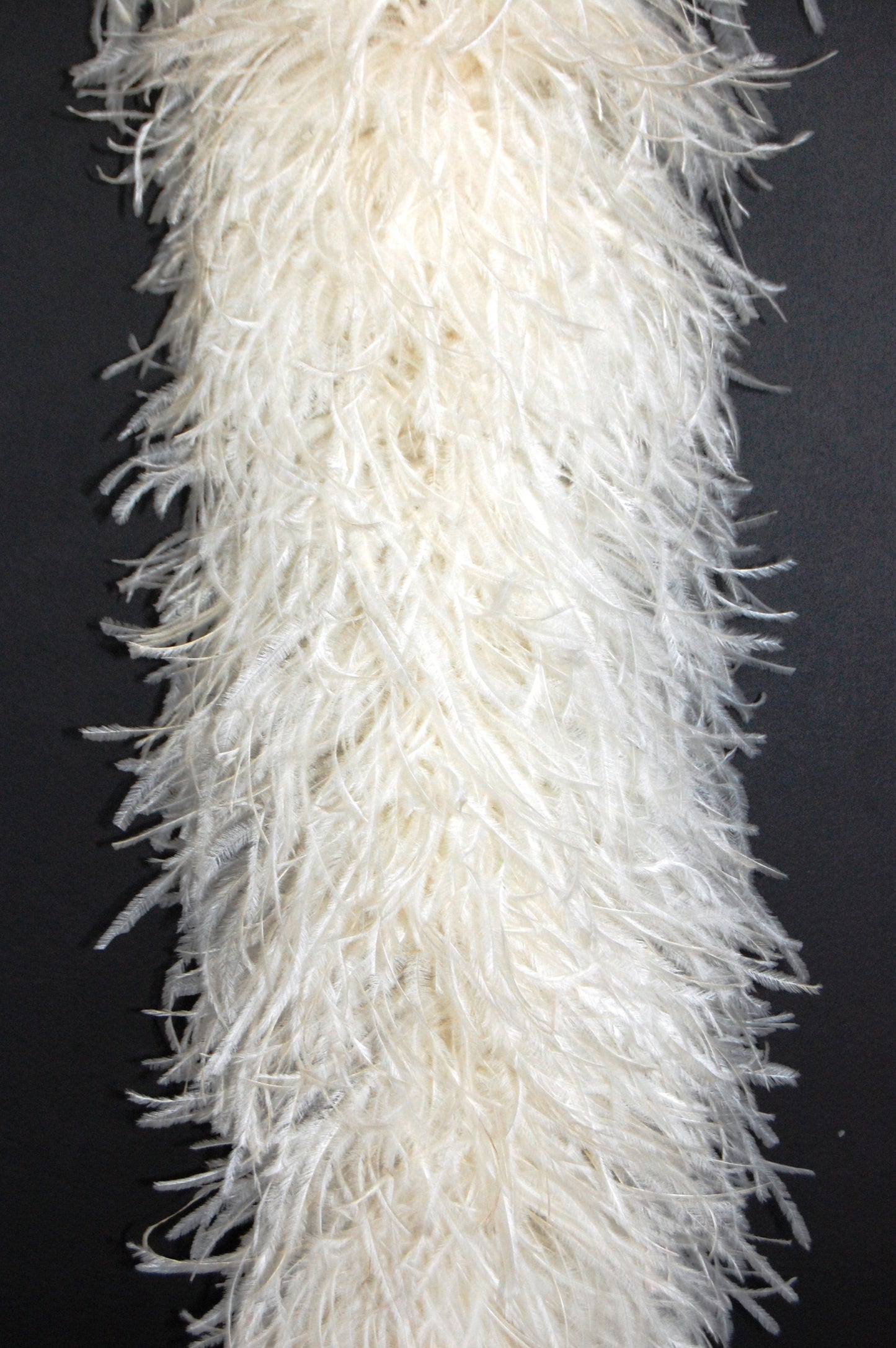 Ostrich Boa - 6 Ply