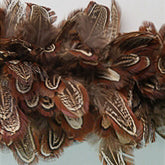 Strung Pheasant Plumage (per 30")