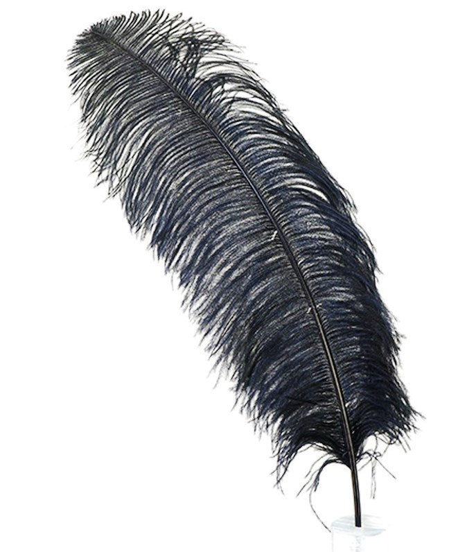 Ostrich Plumes 23-28"