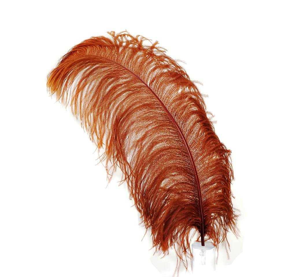 Ostrich  Plumes 18"-23"