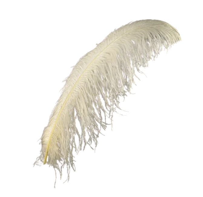 Ostrich Plumes 18"-23"