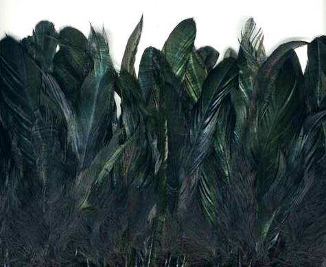 Close-up of black iridescent coque feathers, showcased on a string, demonstrating their beautiful sheen and texture.