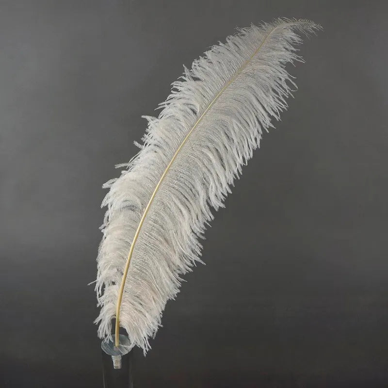 Ostrich Plumes 8-18"