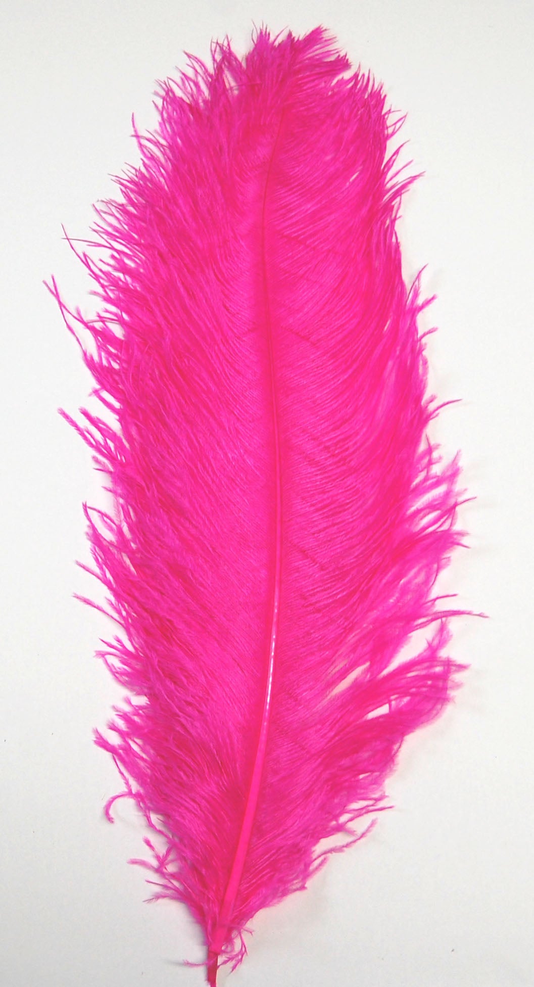 Ostrich  Plumes 18"-23"