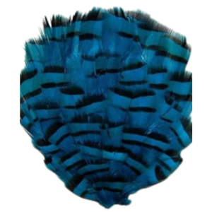 Dyed Grouse Pheasant Pad