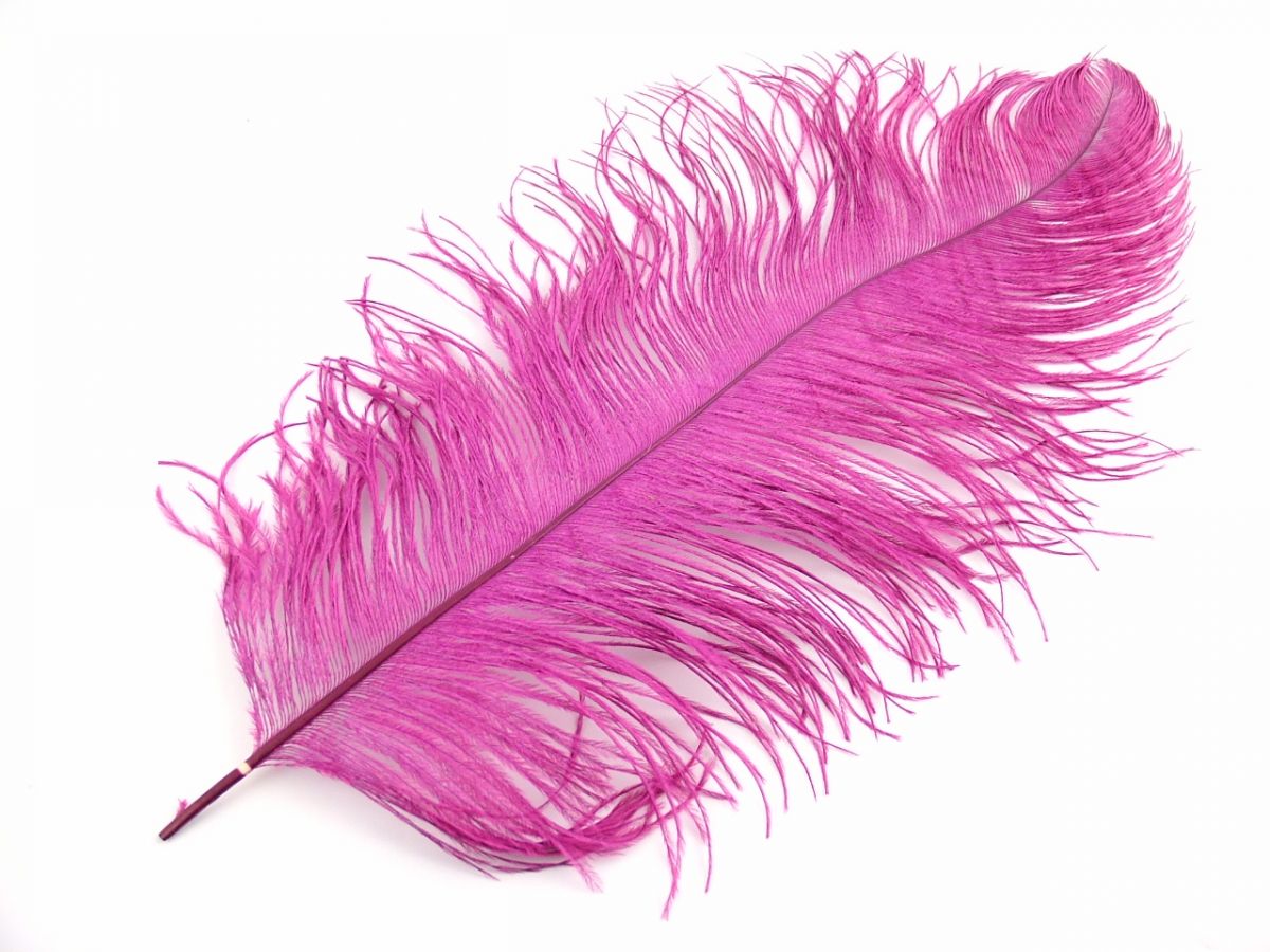 Ostrich  Plumes 18"-23"