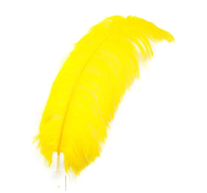 Ostrich  Plumes 18"-23"