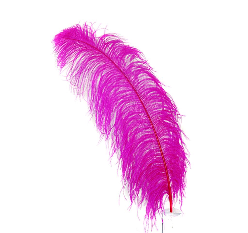 Ostrich  Plumes 18"-23"