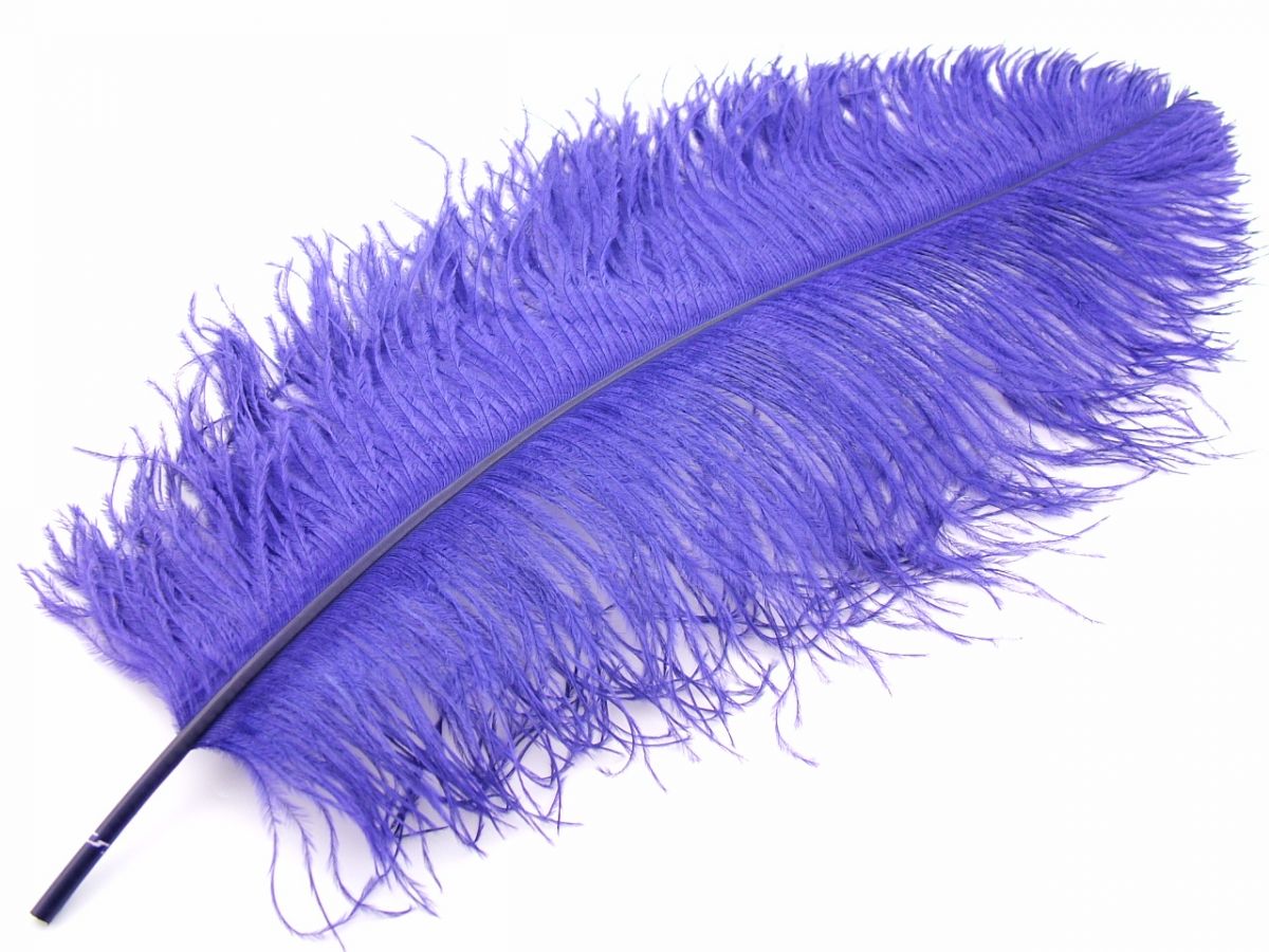 Ostrich  Plumes 18"-23"