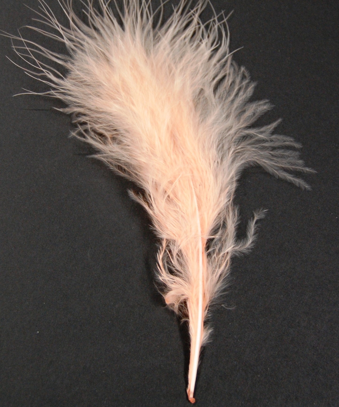 Marabou Plumage