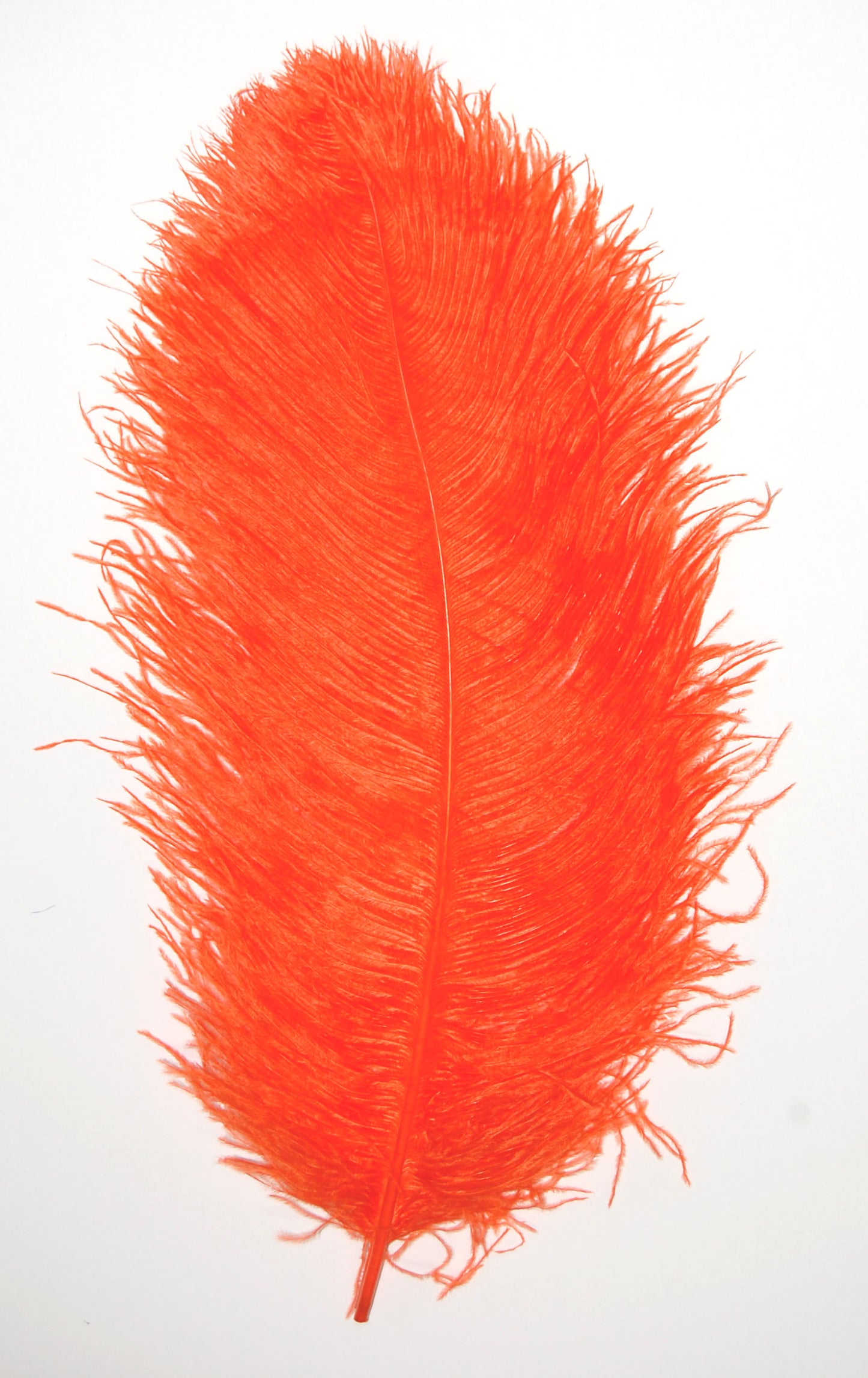 Ostrich  Plumes 18"-23"