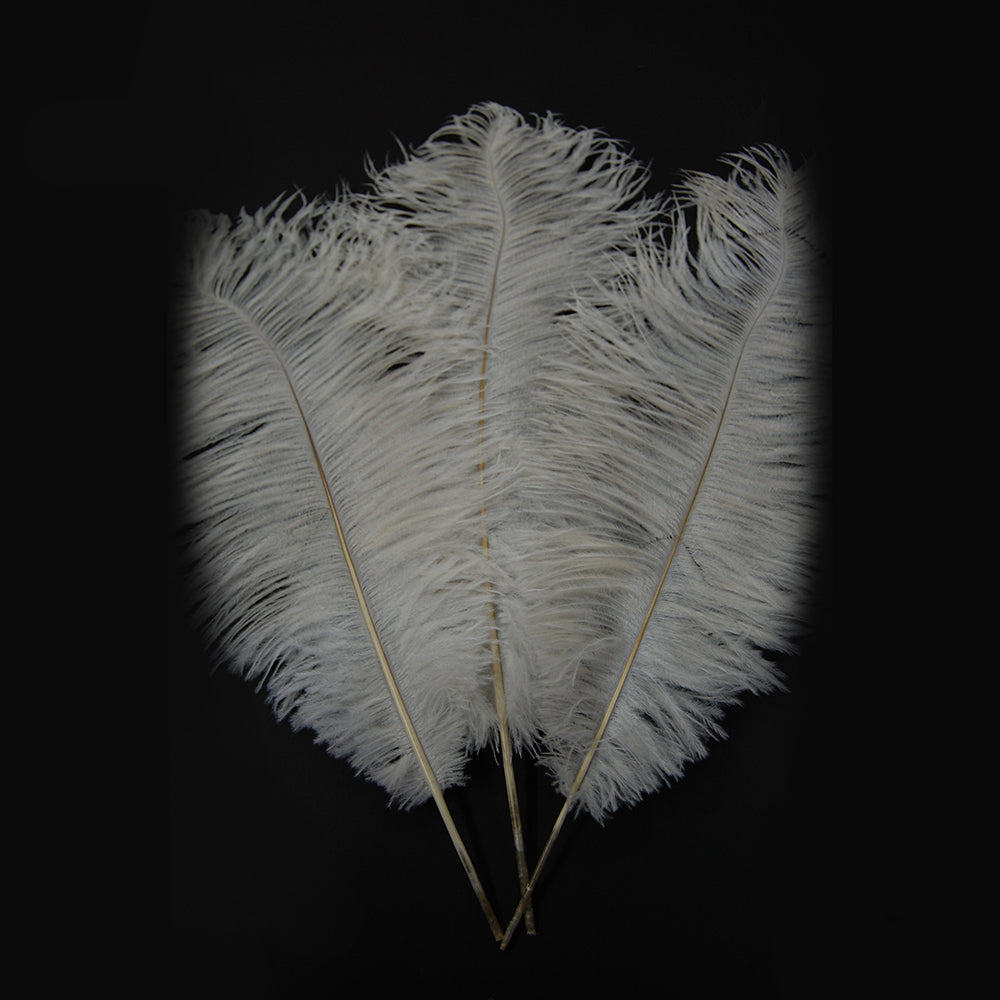 Ostrich Drabs (Sold by PIECE )
