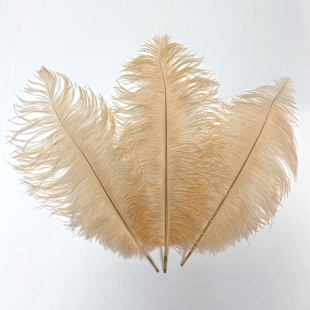 Ostrich Drabs (Sold by PIECE )