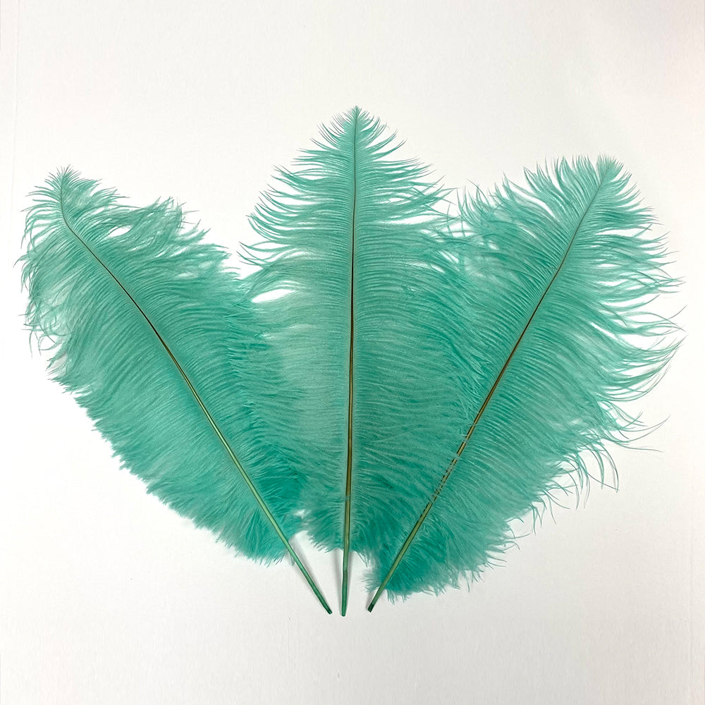 Ostrich Drabs (Sold by PIECE )