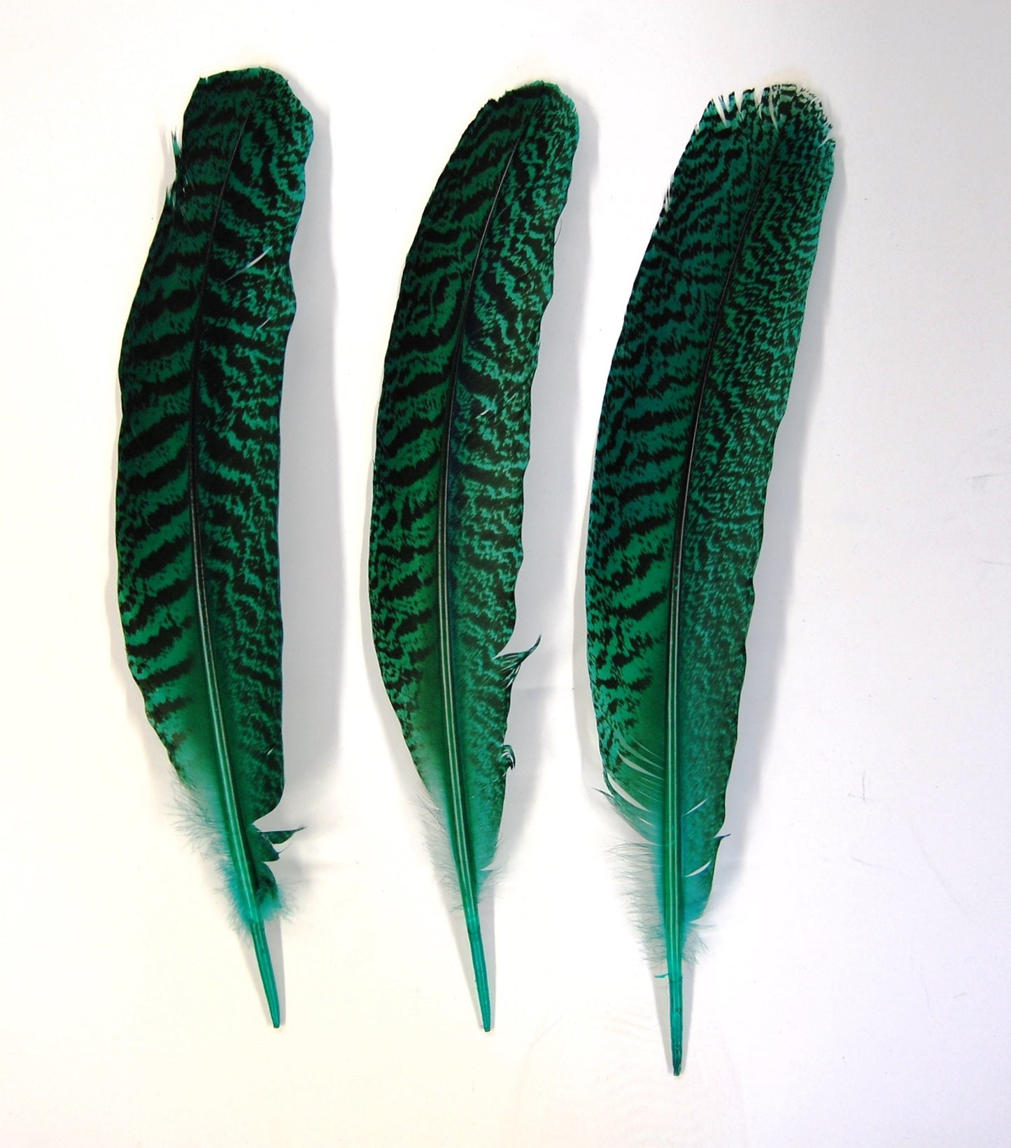 Peacock Quills