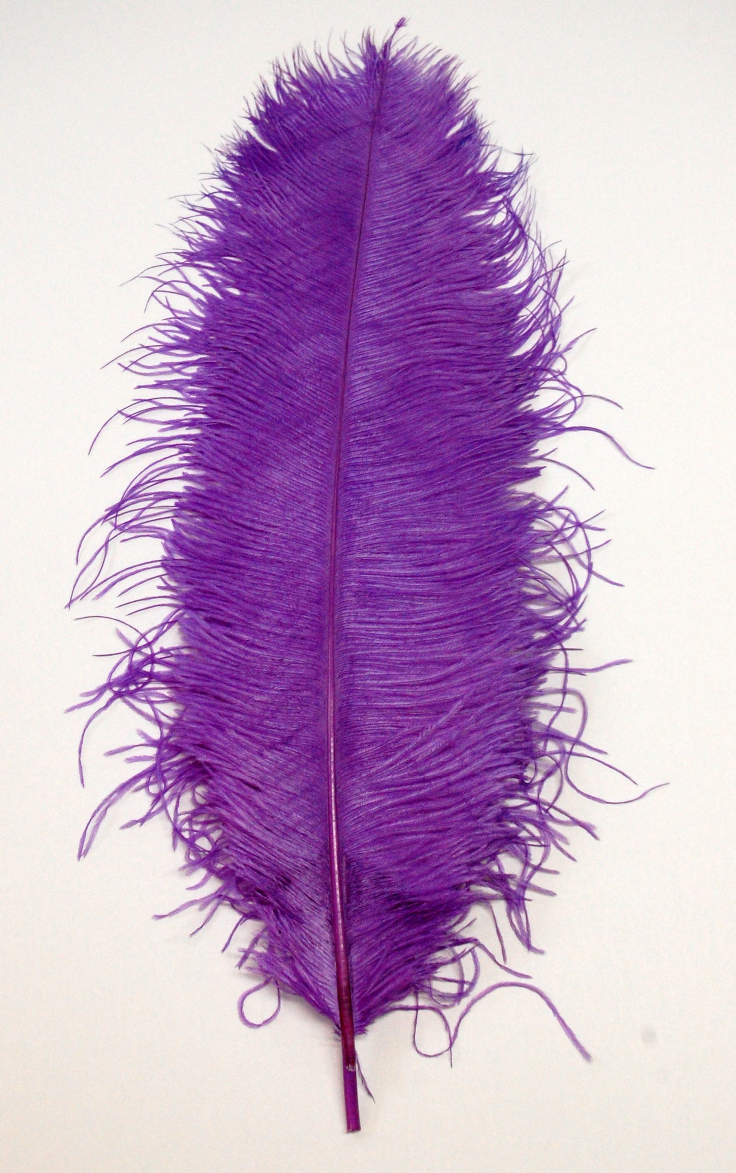 Ostrich Plumes 18"-23"