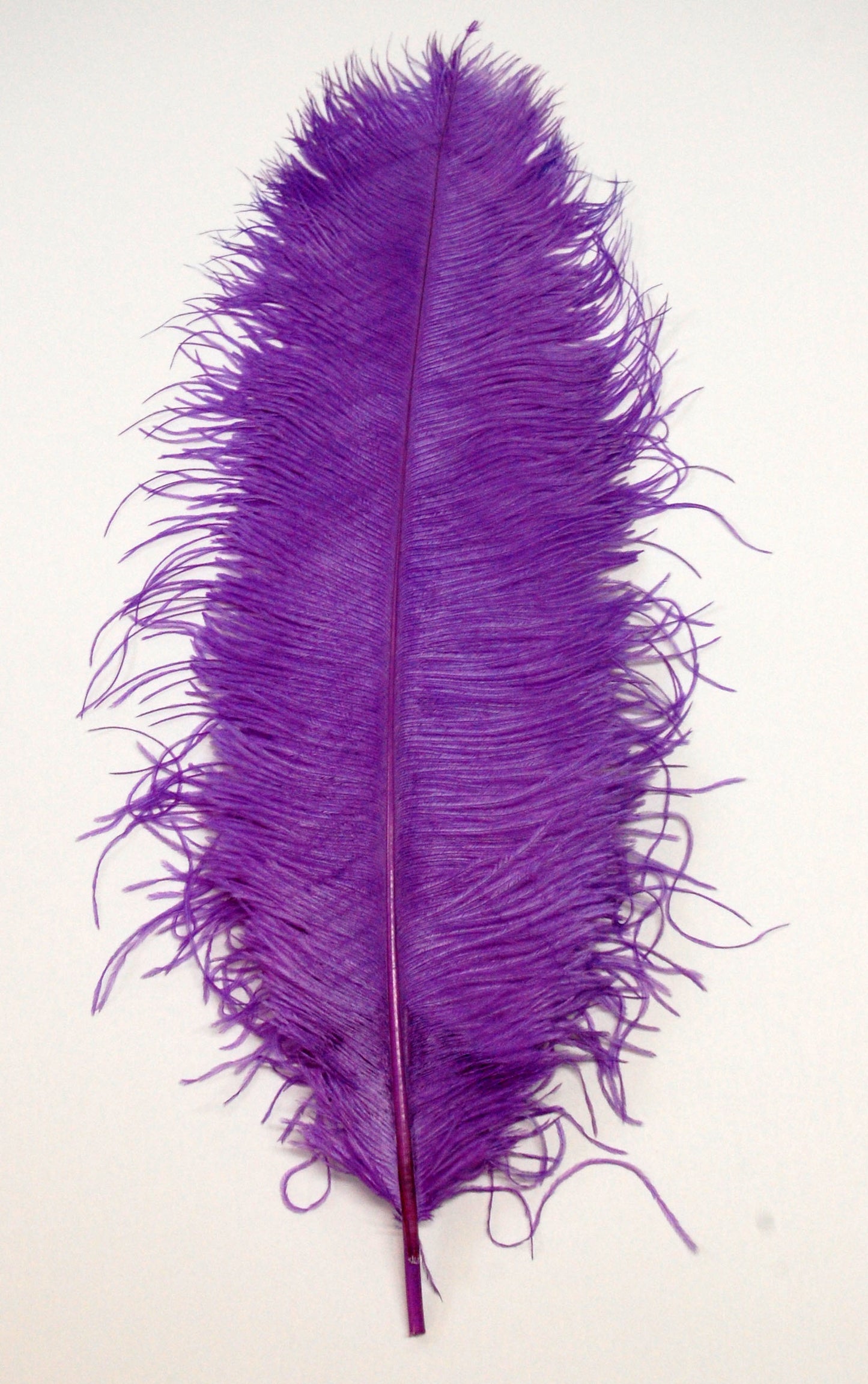 Ostrich  Plumes 18"-23"