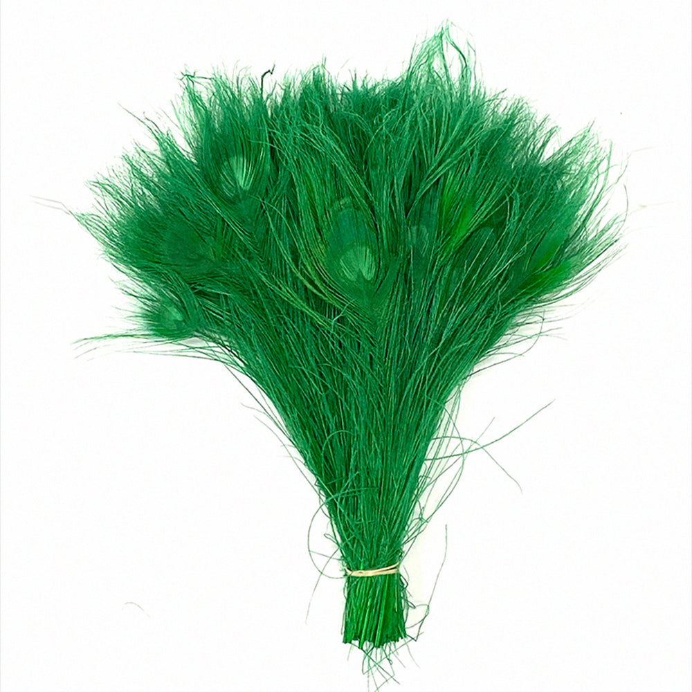 Peacock Tails Bleached 10-12"