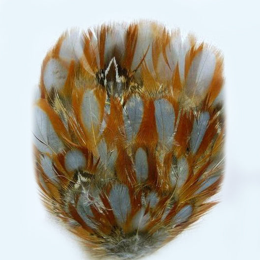 Pheasant Pad "F"