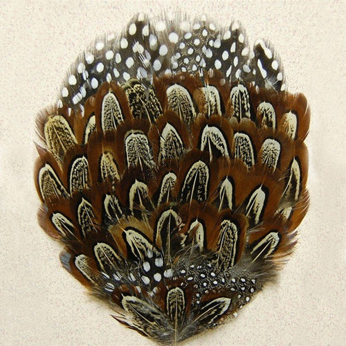 Pheasant Pad "H"