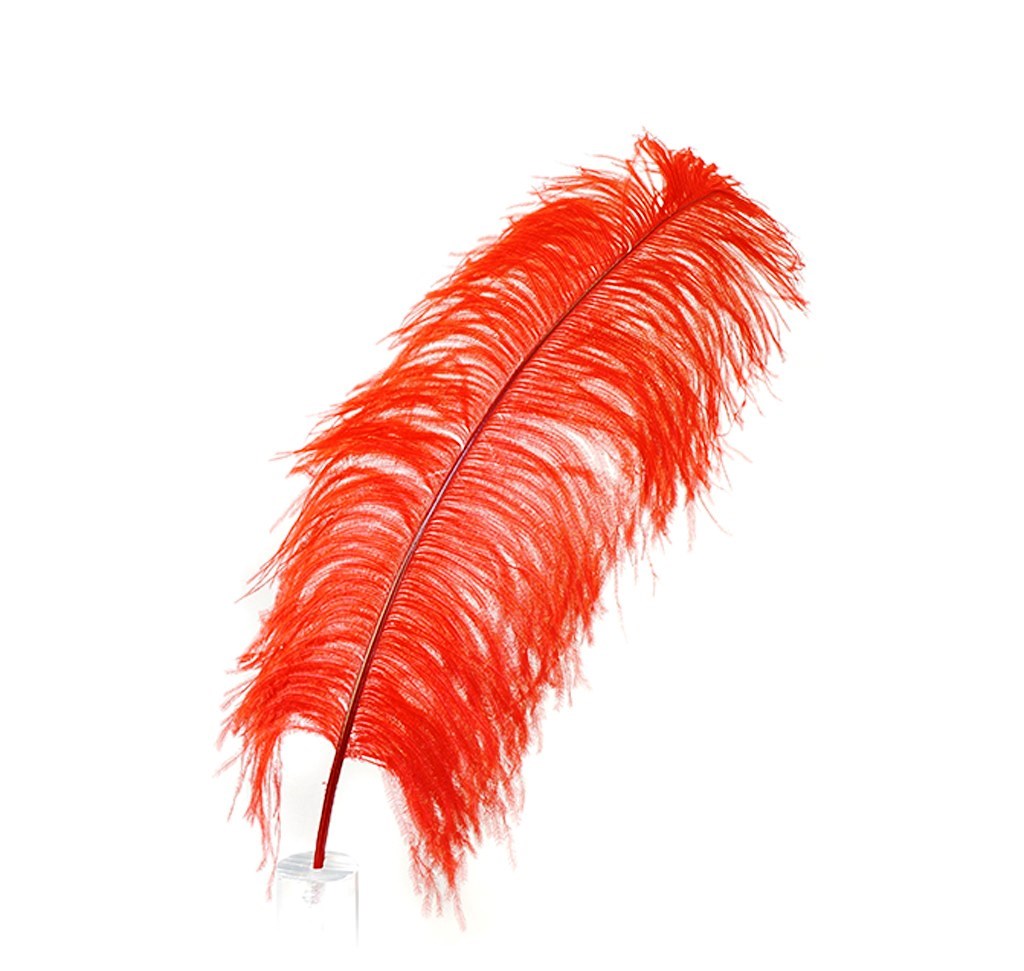 Ostrich Plumes 23-28"