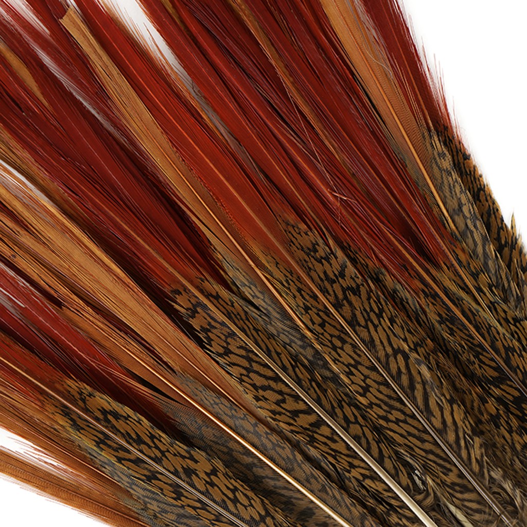 Golden Pheasant Tails Red Tip 4-12"