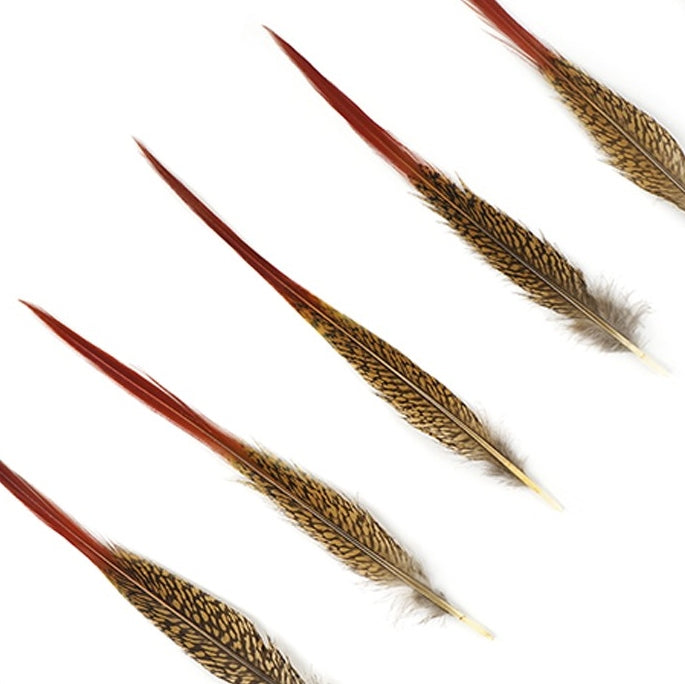 Golden Pheasant Tails Red Tip 4-12"