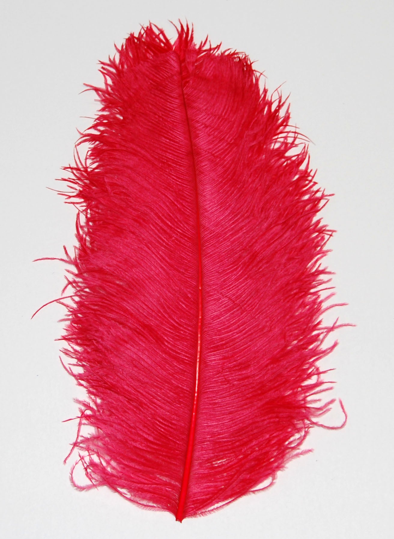 Ostrich Plumes 18"-23"