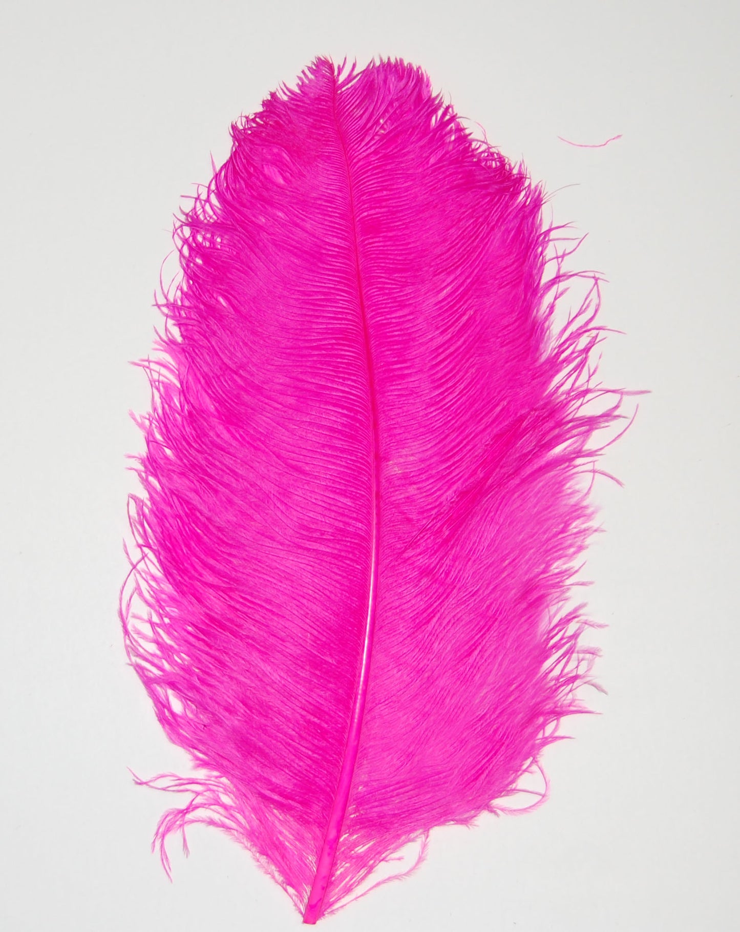 Ostrich Plumes 18"-23"