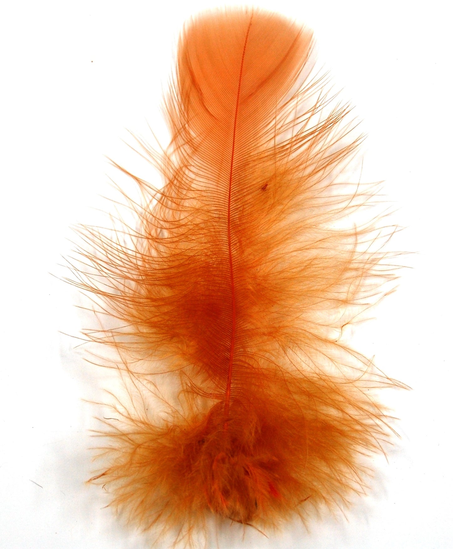 Marabou Plumage