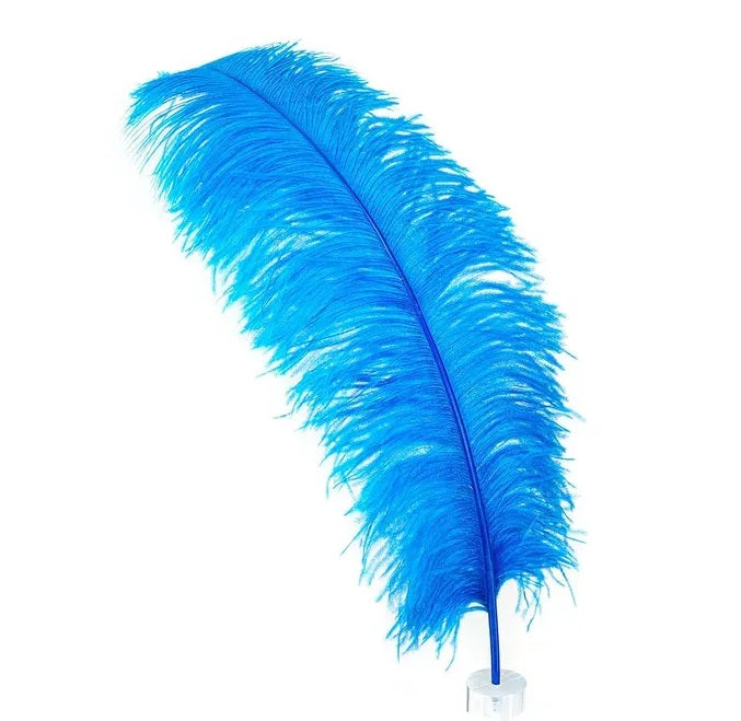 Ostrich Plumes 23-28"