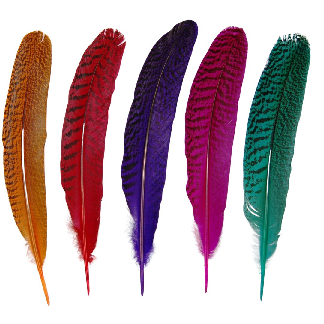 Peacock Quills