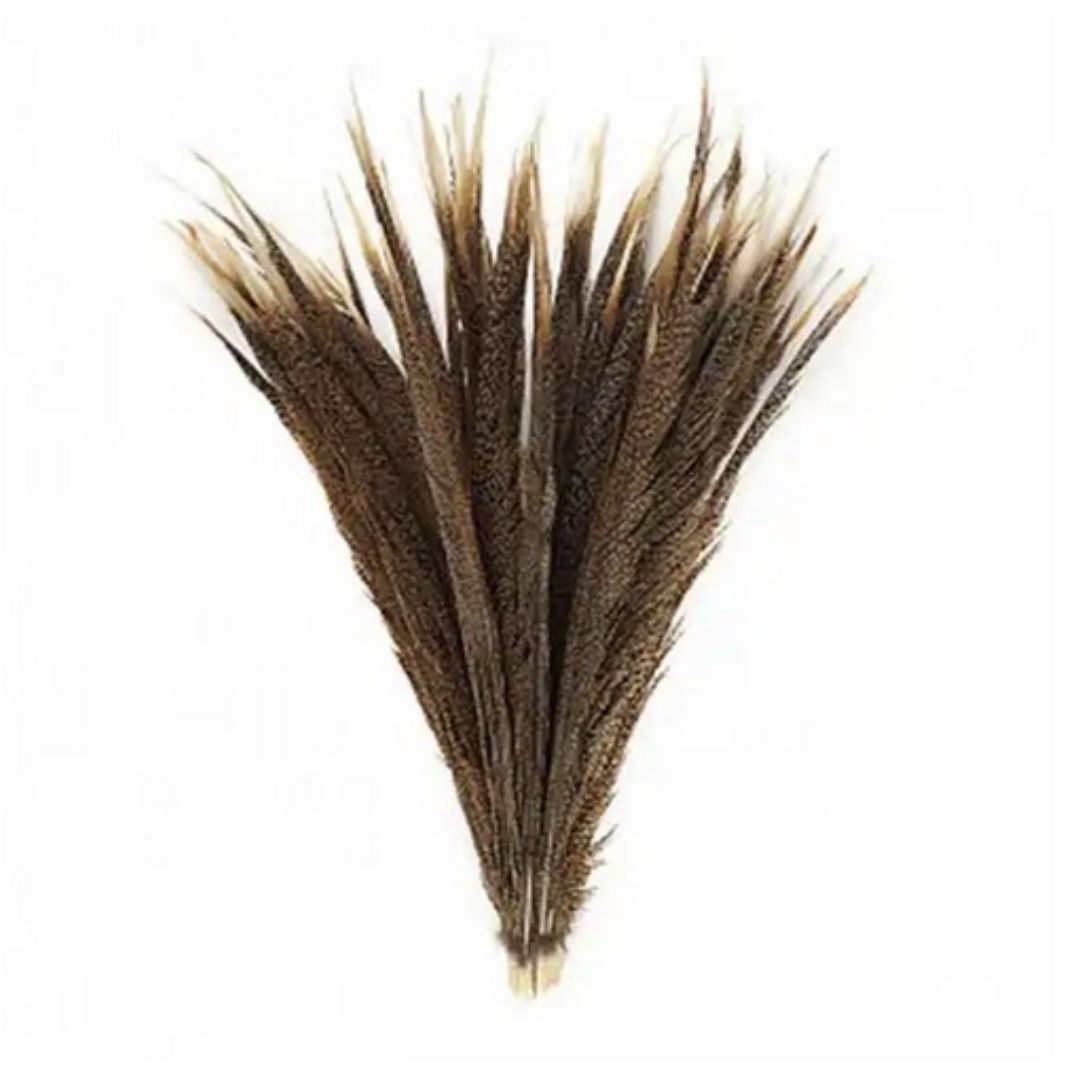 Golden Pheasant Tails Centers 20-30"