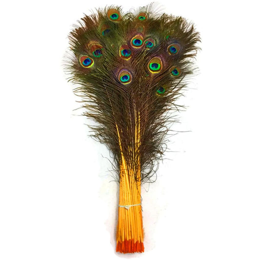 Peacock Feather Tails Dyed 30-45"