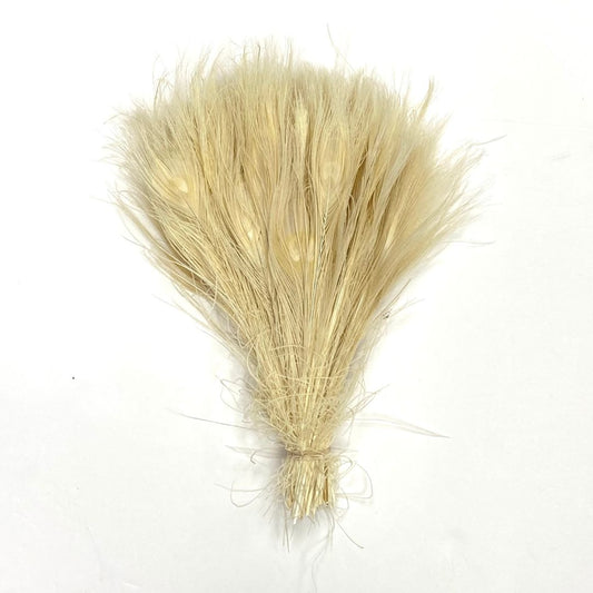 Peacock Tails Bleached White 10-12"
