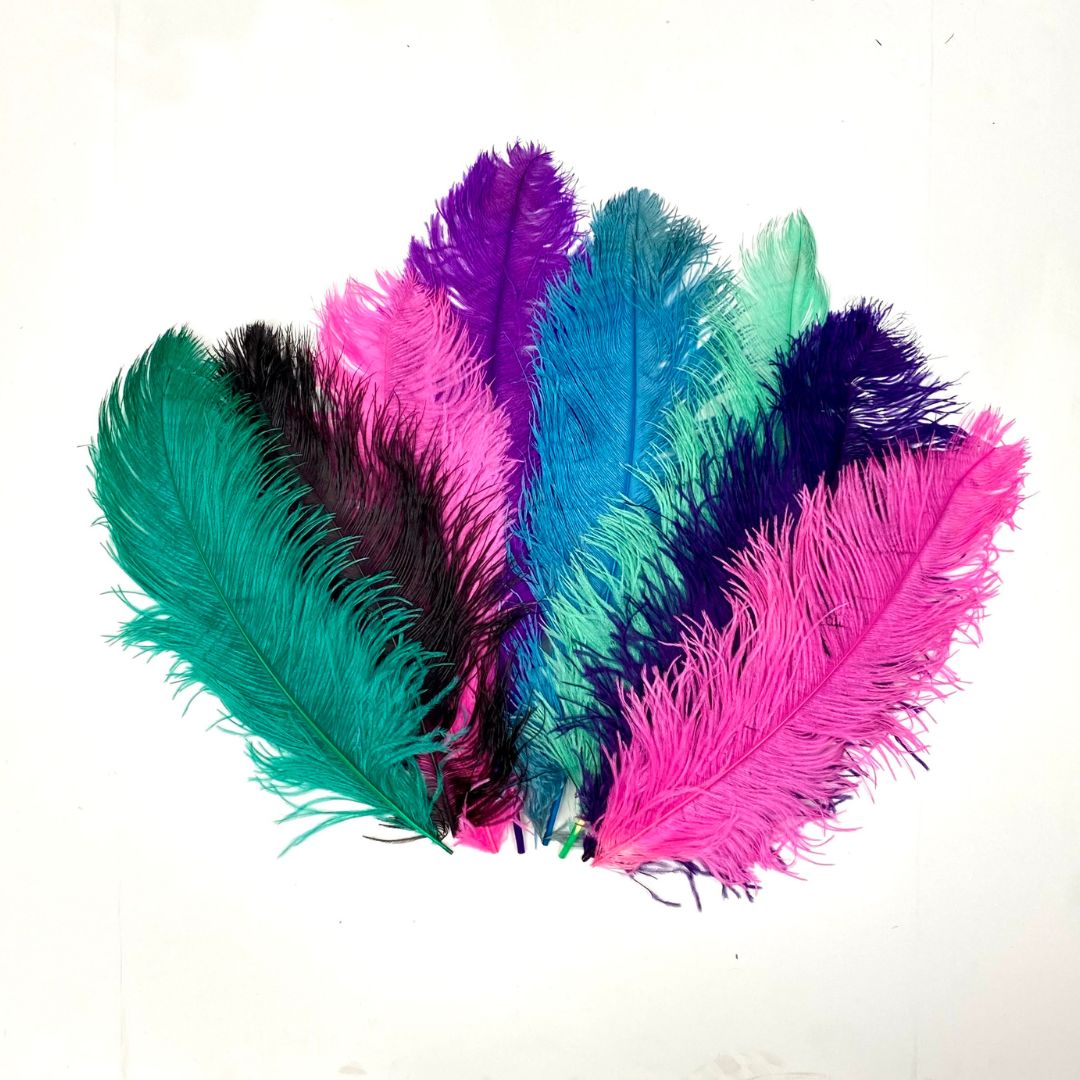 Ostrich Plumes 8-18"