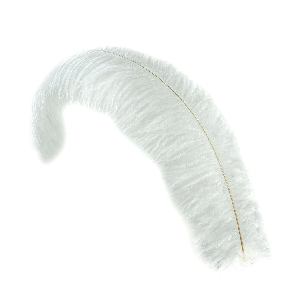 Ostrich Plumes 23-28"