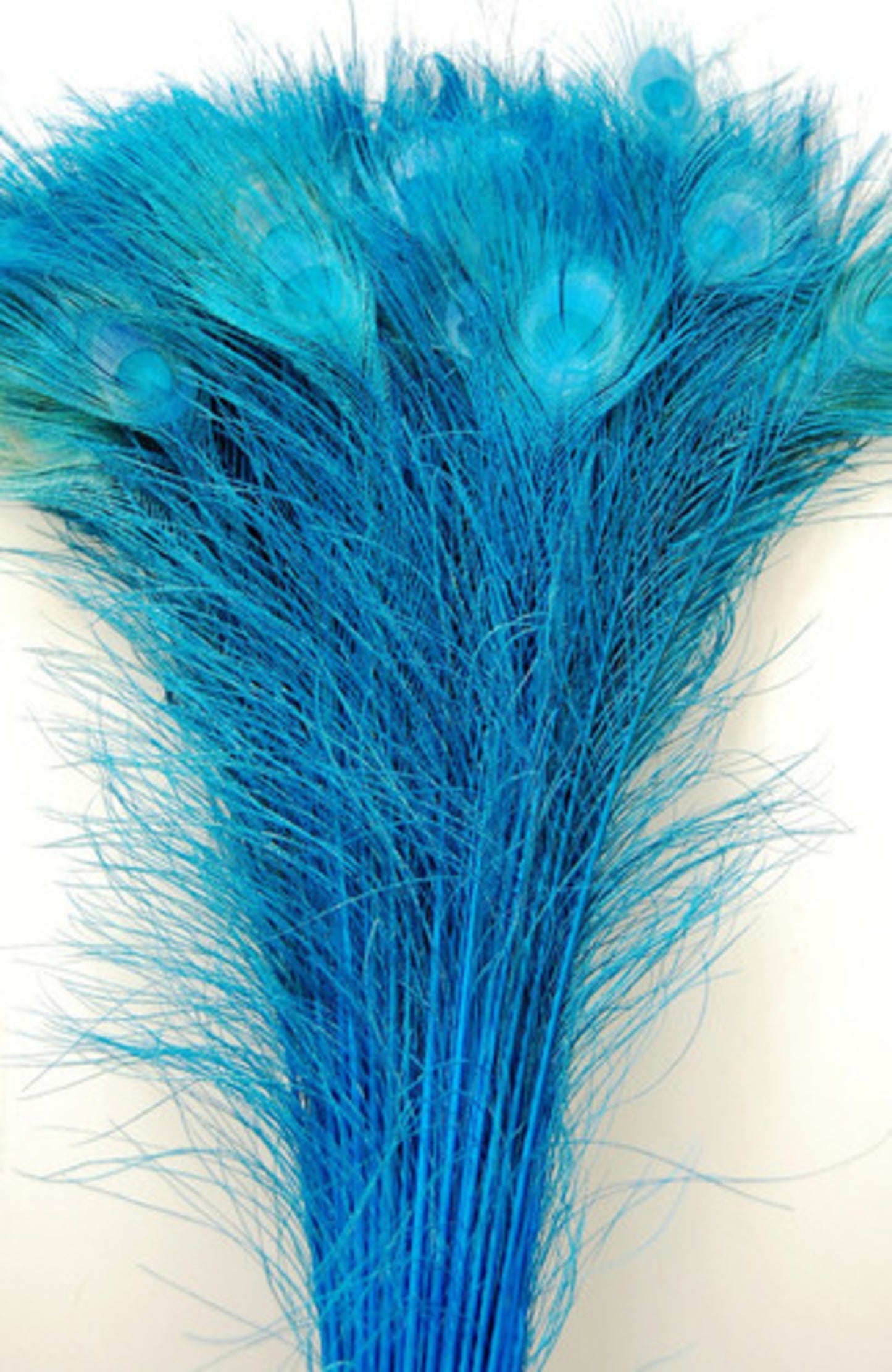 Peacock Tails Bleached 30-40"