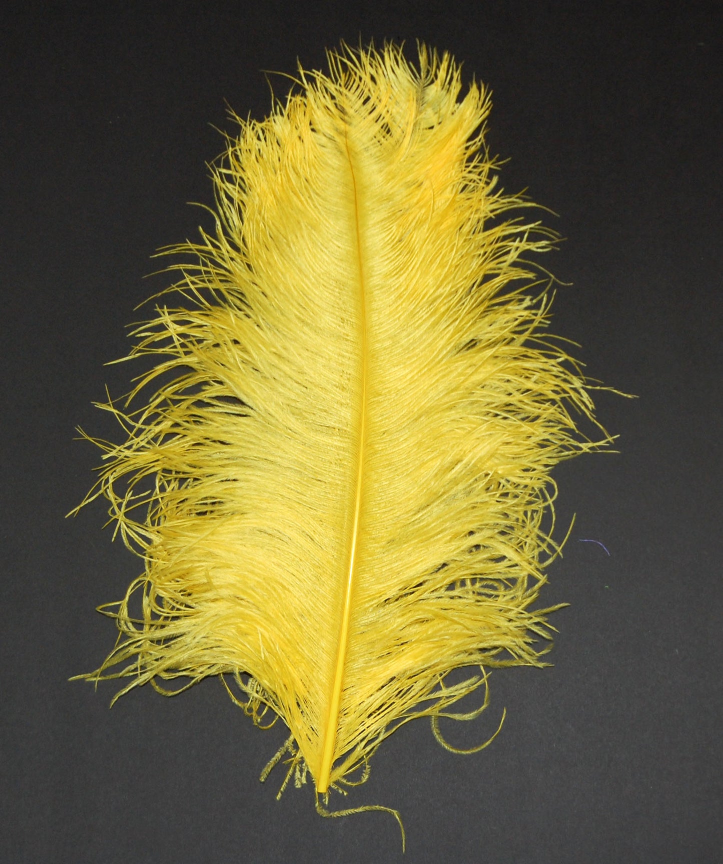 Ostrich  Plumes 18"-23"