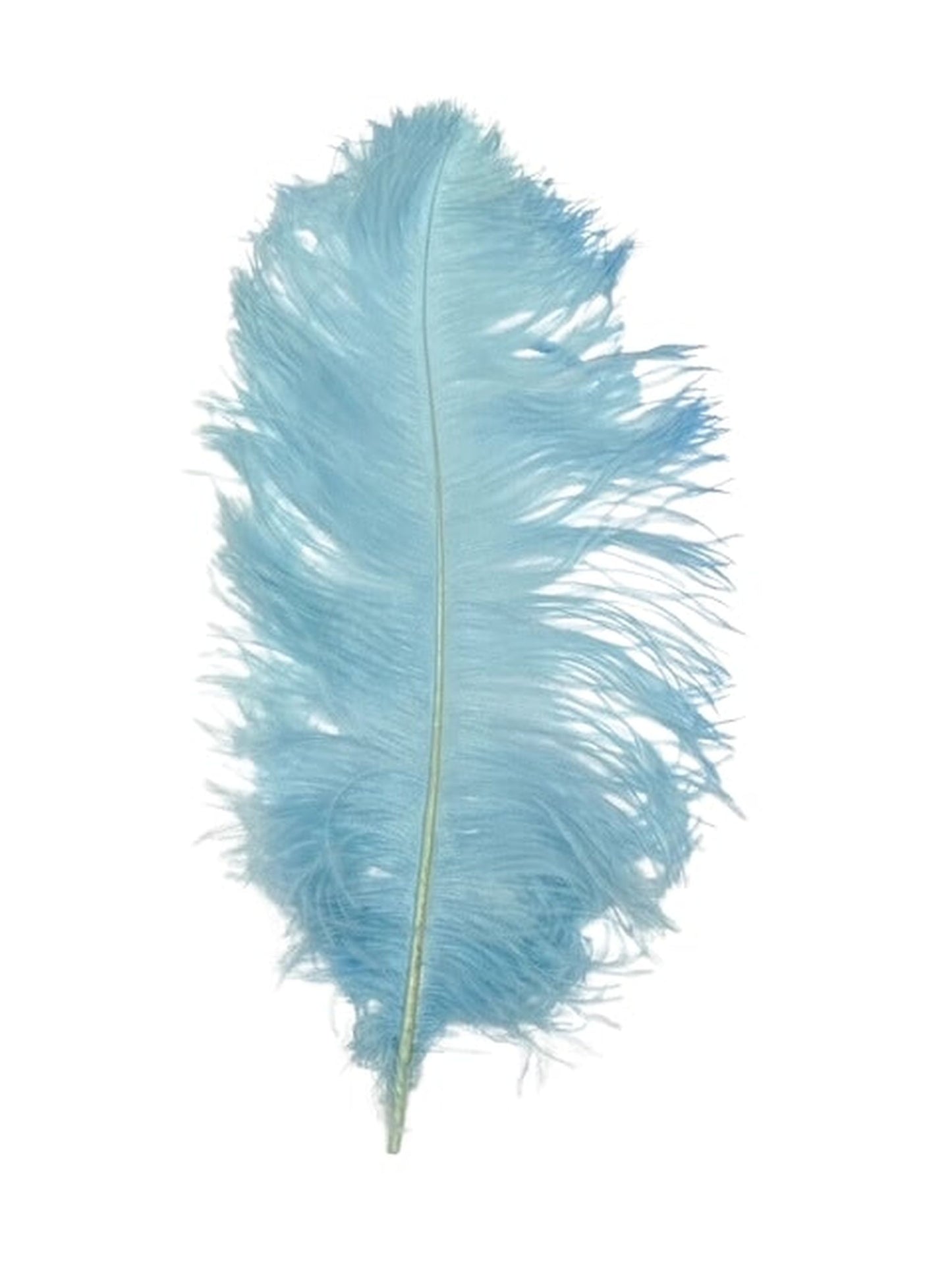 Ostrich Plumes 8-18"