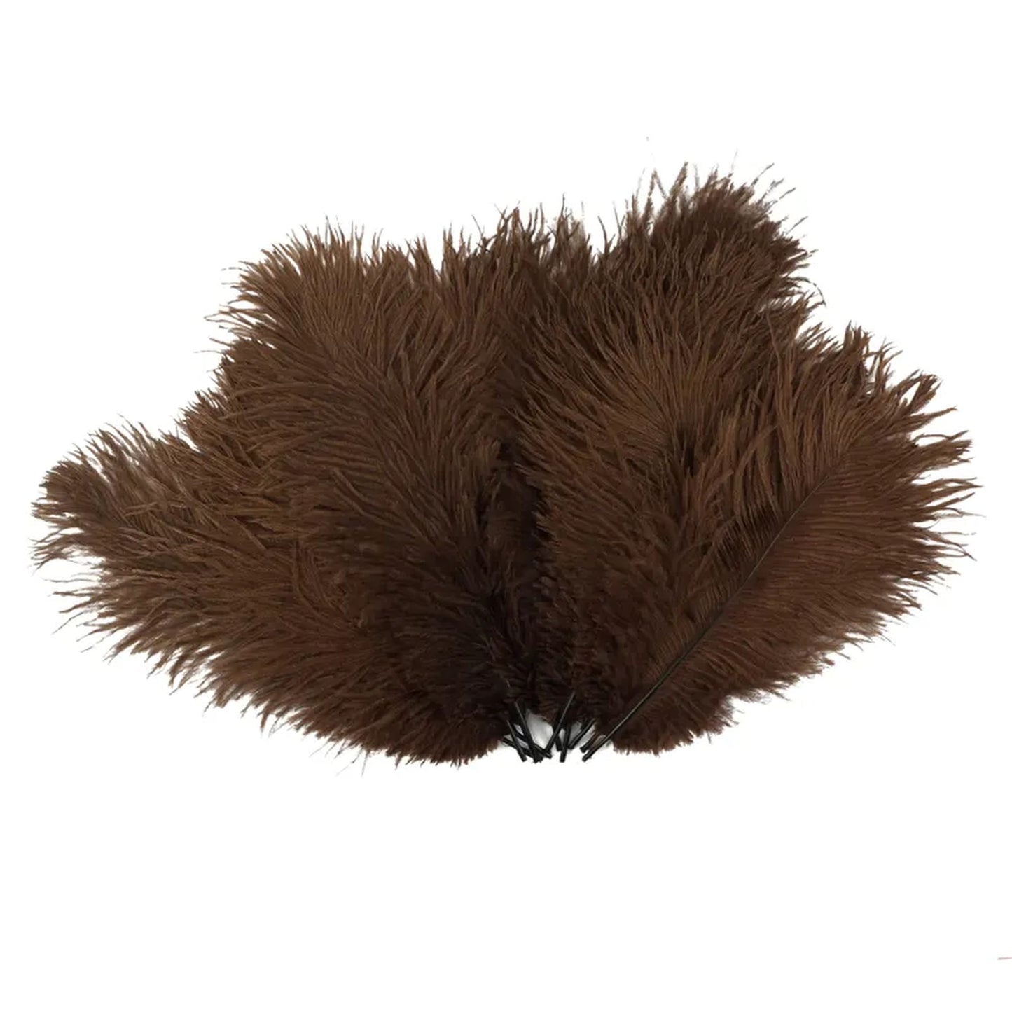 Ostrich Drabs 8-16"