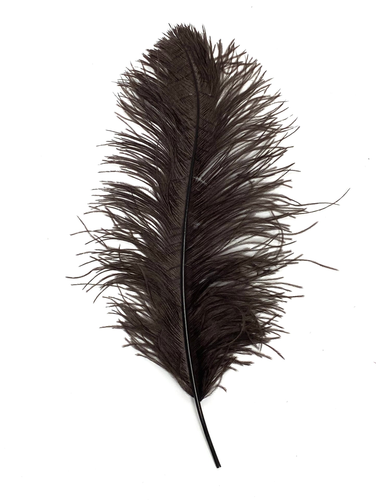 Ostrich Plumes 8-18"