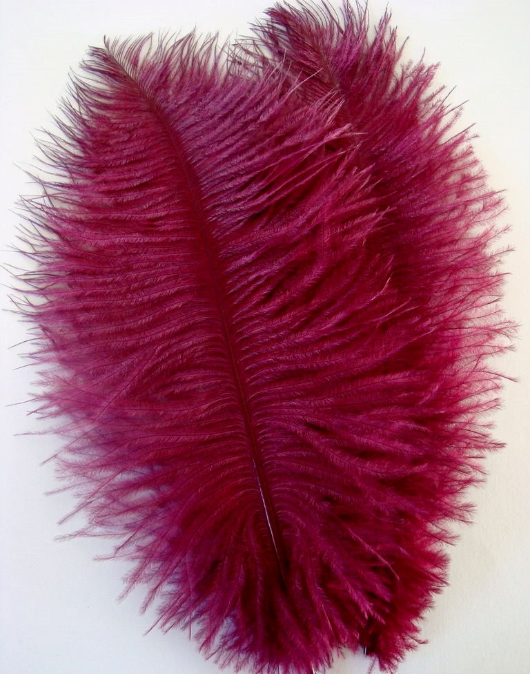Ostrich Plumes 8-18"