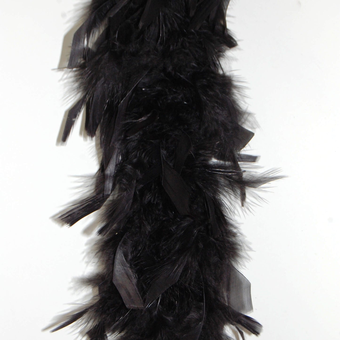black lightweight chandelle feather on white background