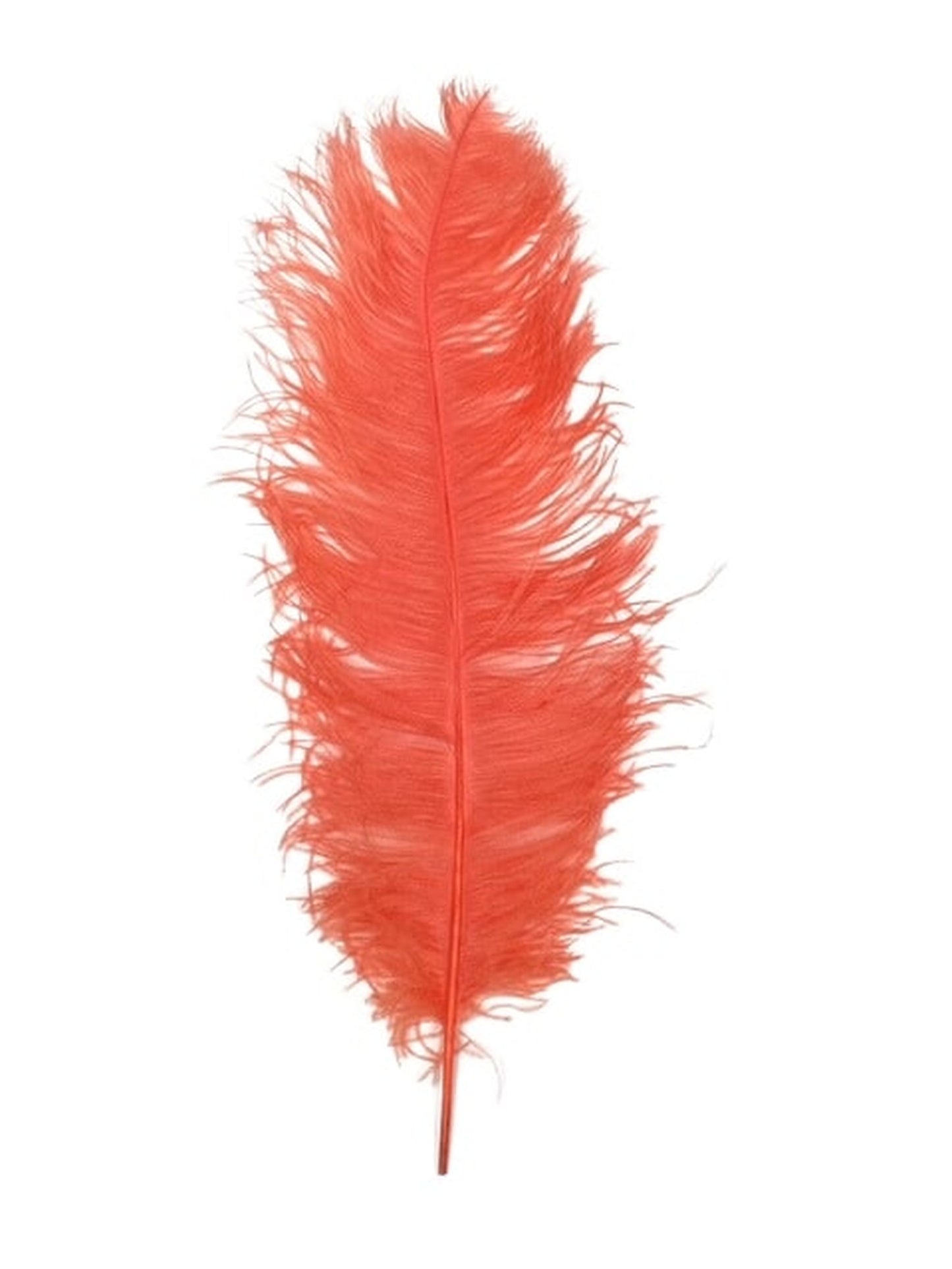 Ostrich Plumes 23-28"