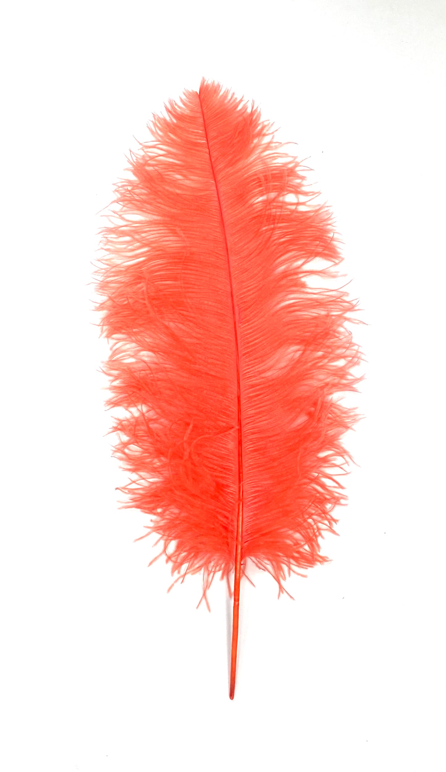 Ostrich Plumes 18"-23"
